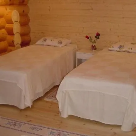 Holiday Saraste Holiday home