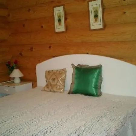 Holiday Saraste * Sappu